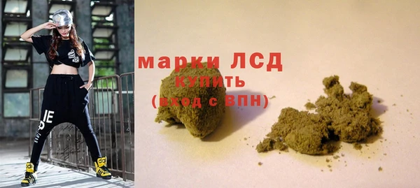 твердый Михайлов