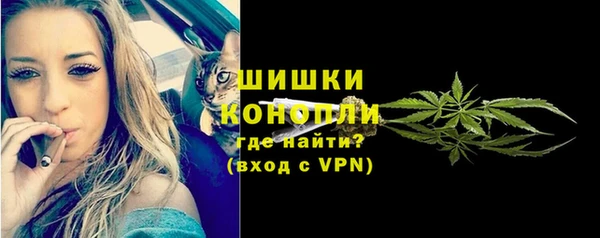 сатива Михайловск