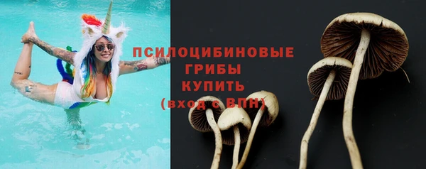 твердый Михайлов