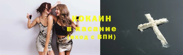 сатива Михайловск