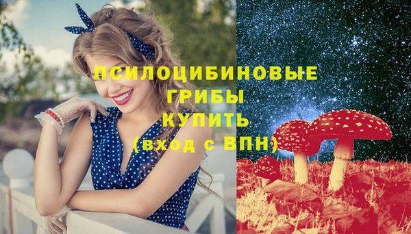 сатива Михайловск