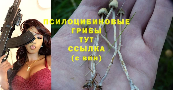 амф Михайловка