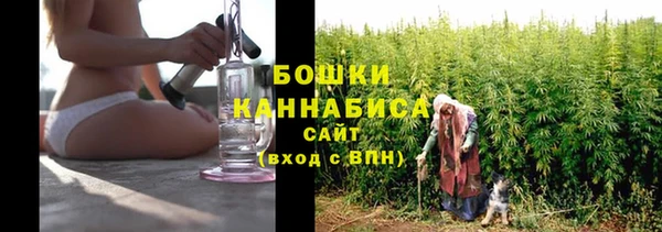 твердый Михайлов
