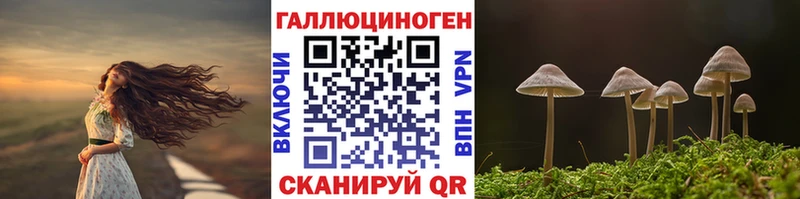 Псилоцибиновые грибы GOLDEN TEACHER  Купить закладки  Донецк 